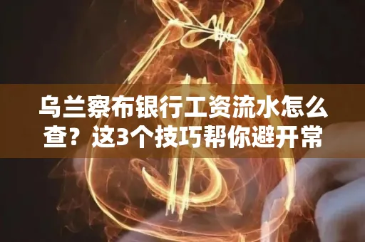 乌兰察布银行工资流水怎么查?这3个技巧帮你避开常见坑