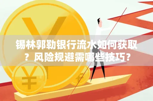 锡林郭勒银行流水如何获取?风险规避需哪些技巧?