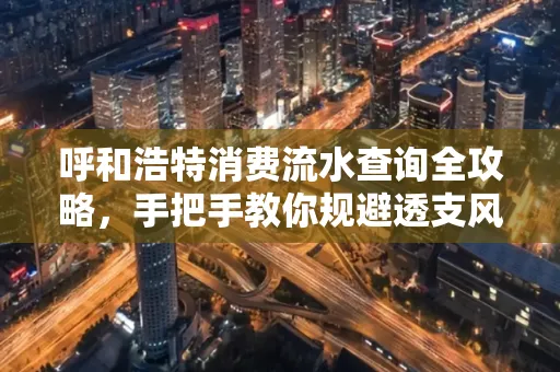 呼和浩特消费流水查询全攻略,手把手教你规避透支风险