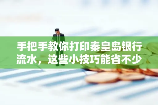 手把手教你打印秦皇岛银行流水，这些小技巧能省不少事