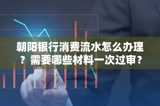 朝阳银行消费流水怎么办理?需要哪些材料一次过审?