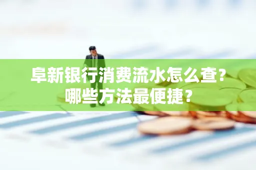 阜新银行消费流水怎么查?哪些方法最便捷?