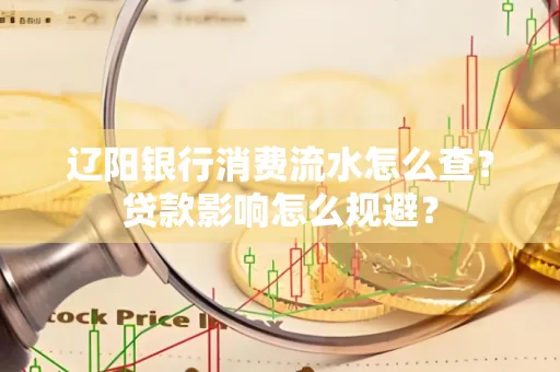 辽阳银行消费流水怎么查?贷款影响怎么规避?