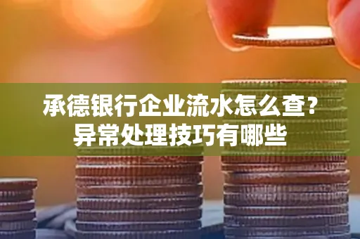 承德银行企业流水怎么查?异常处理技巧有哪些