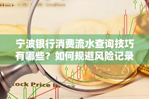 宁波银行消费流水查询技巧有哪些?如何规避风险记录?