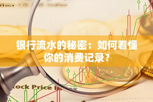 银行流水的秘密:如何看懂你的消费记录?
