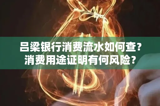 吕梁银行消费流水如何查?消费用途证明有何风险?