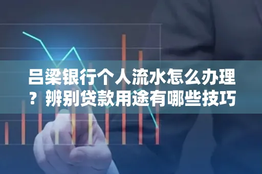 吕梁银行个人流水怎么办理?辨别贷款用途有哪些技巧?
