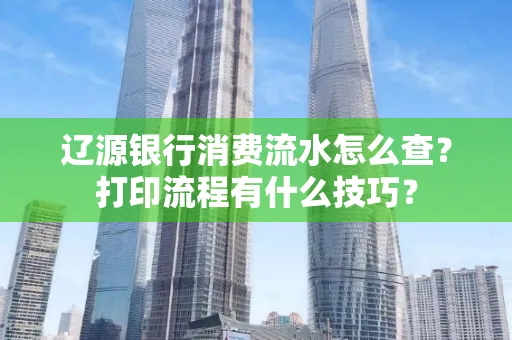 辽源银行消费流水怎么查?打印流程有什么技巧?