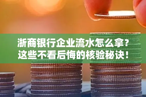 浙商银行企业流水怎么拿?这些不看后悔的核验秘诀!