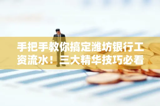 手把手教你搞定潍坊银行工资流水!三大精华技巧必看