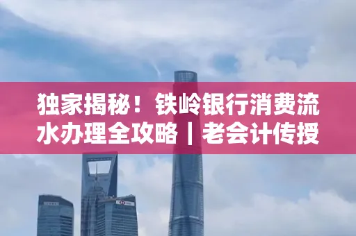 独家揭秘!铁岭银行消费流水办理全攻略|老会计传授防诈技巧