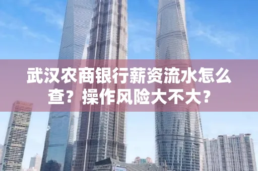 武汉农商银行薪资流水怎么查?操作风险大不大?