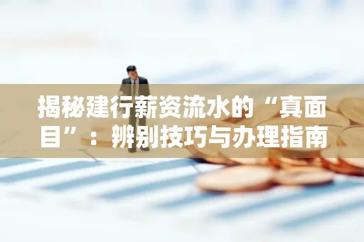 揭秘建行薪资流水的“真面目”:辨别技巧与办理指南大公开