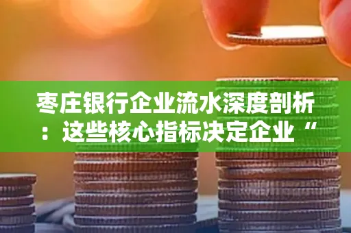 枣庄银行企业流水深度剖析:这些核心指标决定企业“钱袋子”健康度