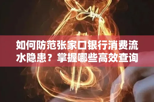 如何防范张家口银行消费流水隐患?掌握哪些高效查询技巧?