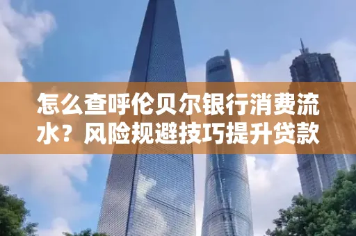 怎么查呼伦贝尔银行消费流水?风险规避技巧提升贷款率?