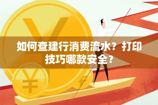 如何查建行消费流水?打印技巧哪款安全?